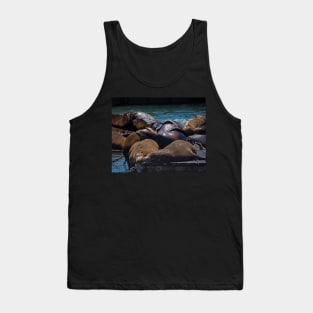 Snuggling Seals Pier 39 San Francisco Tank Top